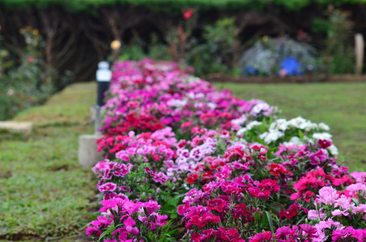 Ripon Grand Hill By Ehi Hotel นูวาราเอลิยา ภายนอก รูปภาพ